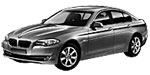 BMW F10 B20E3 Fault Code